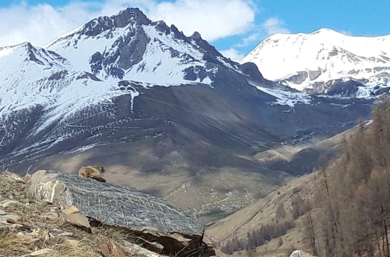 Ubaye Liberty Apartment Barcelonnette Luaran gambar